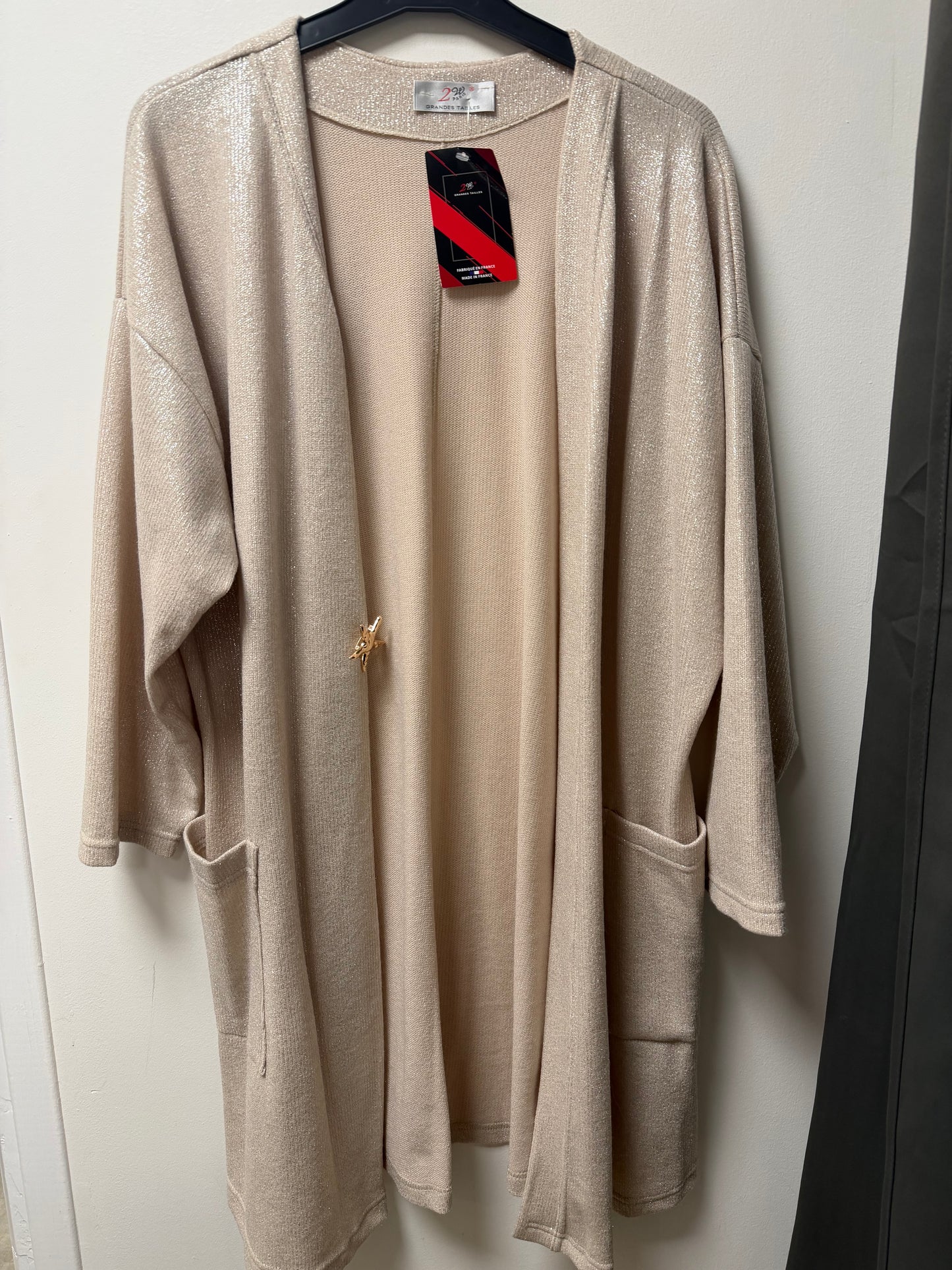 G1699-1 Gilet brillant